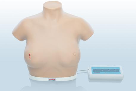 電子乳腺癌觸診、視診訓(xùn)練模型